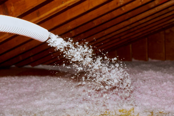 Best Insulation Repair Services  in Wadesboro, NC