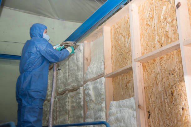 Best Insulation Removal Services  in Wadesboro, NC